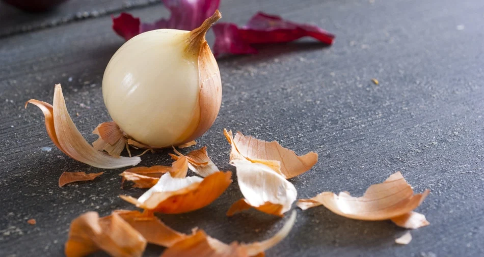 Peeled onion bulb with papery skins